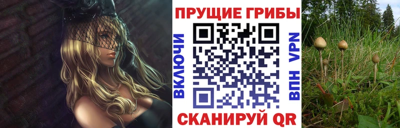 Галлюциногенные грибы MAGIC MUSHROOMS  Курск 