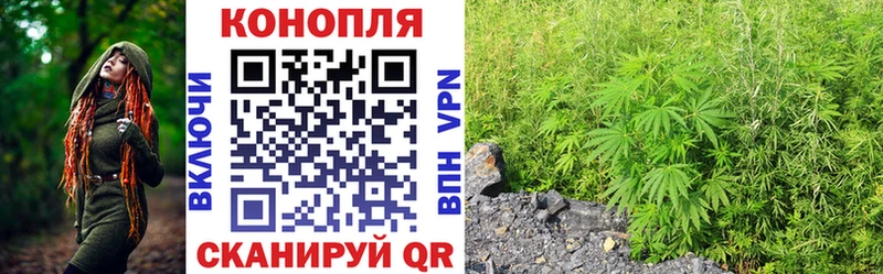 цены   Курск  Каннабис конопля 